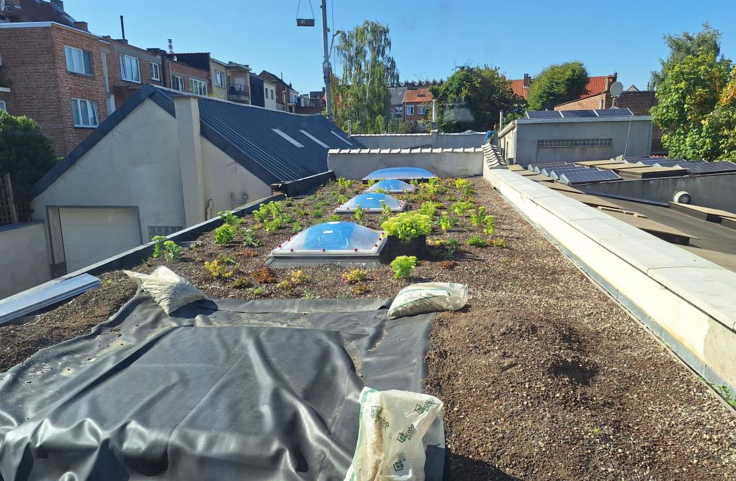 Projet de rénovation éco-constructive CC Autrement Bruxelles