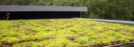 Planted,Eco,Roof